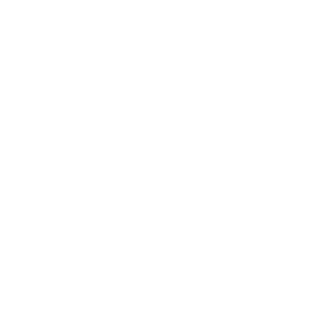 SpinJuju 500x500_white